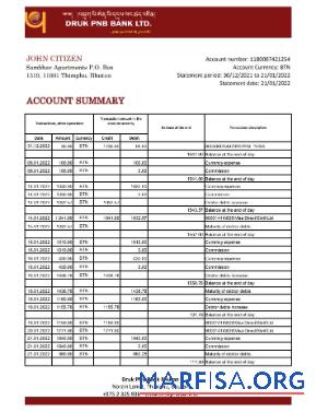 Blank Bhutan Druk PNB bank statement excel example